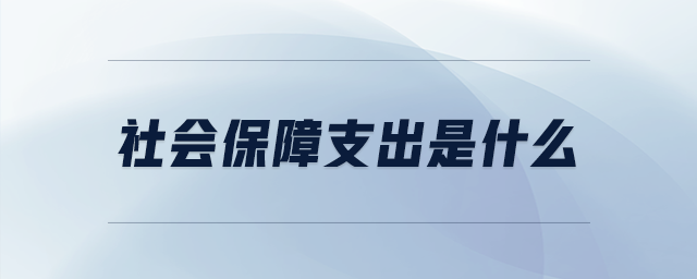 社会保障支出是什么